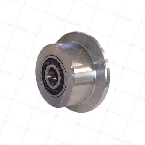 Ruota DI CARRO IN ACCIAIO DIAMETRO 100 MM PER RAILS DI 30 MM CARICO 500 KG ASSE 20 MM - Ruota CARRO 100 • Caujolle