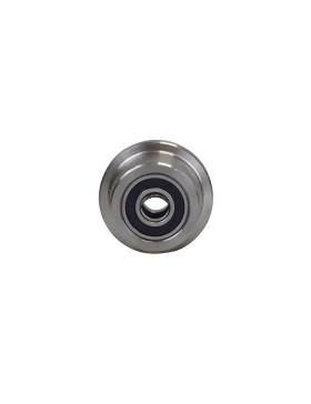 Ruota DI WAGONNET IN ACCIAIO DIAMETRO 55 MM PER RAILS DI 25 MM CARICO 160 KG ASSE 16 MM