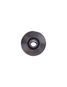 Ruota DI WAGONNET IN ACCIAIO DIAMETRO 55 MM PER RAILS DI 25 MM CARICO 160 KG ASSE 16 MM