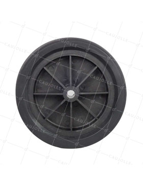 Ruota DI TORELLA DIAMETRO 170 MM CARICO 25 KG ASSE 12 MM
