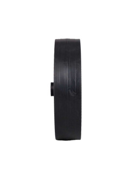 Ruota DI TORELLA DIAMETRO 170 MM CARICO 25 KG ASSE 12 MM