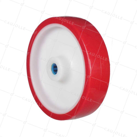 Ruota BI MATERIALE NYLON POLIURETANO DIAMETRO 200 MM CARICO 300 KG Cuscinetto A RULLI INOX 20 MM - S2450BP 200/50 LM58 RR INOX 20 • Caujolle