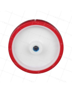 Ruota BI MATERIALE NYLON POLIURETANO DIAMETRO 200 MM CARICO 300 KG Cuscinetto A RULLO INOX 20 MM - S2450BP 200/50 LM58 RR INOX 2