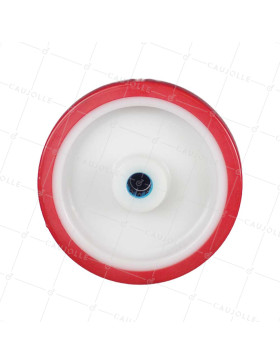 Ruota BI MATERIALE NYLON POLIURETANO DIAMETRO 175 MM CARICO 300 KG Cuscinetto A RULLI INOX 20 MM - S2450BP 175/45 LM58 RR INOX 2