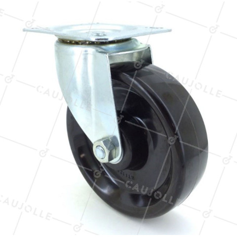 Ruota RESISTENTE AL CALORE DIAMETRO 125 mm CARICO 100KG -S2 270° 125 • Caujolle