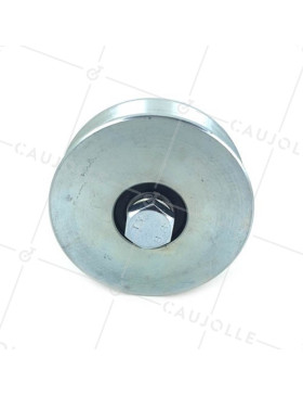 Ruota DI PORTA LARGA A Gola TRIANGOLARE DI 10 MM DI PROFONDITÀ E DIAMETRO 100 MM