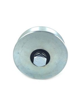 Ruota DI PORTA LARGA A Gola TRIANGOLARE DI 10 MM DI PROFONDITÀ E DIAMETRO 100 MM