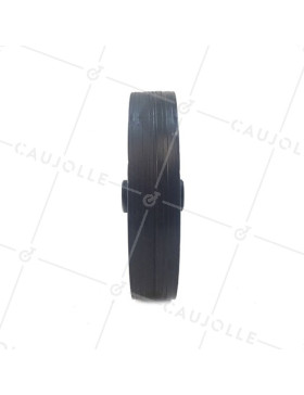 Ruota DI MANUTENZIONE PVC DIAMETRO 200MM ASSE 20 MM S2000PVCA20