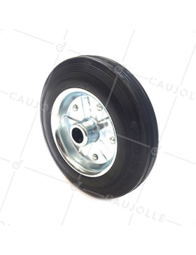 Ruota IN GOMMA PER MANUTENZIONE DIAMETRO 250MM CARICO 200KG ASSE 20 MM RULLI - S2000TS250 • Caujolle