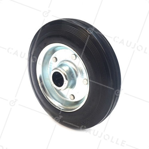 Ruota IN GOMMA DI MANUTENZIONE DIAMETRO 250MM CARICO 200KG ASSE 25 MM RULLI - S2000TS250 • Caujolle