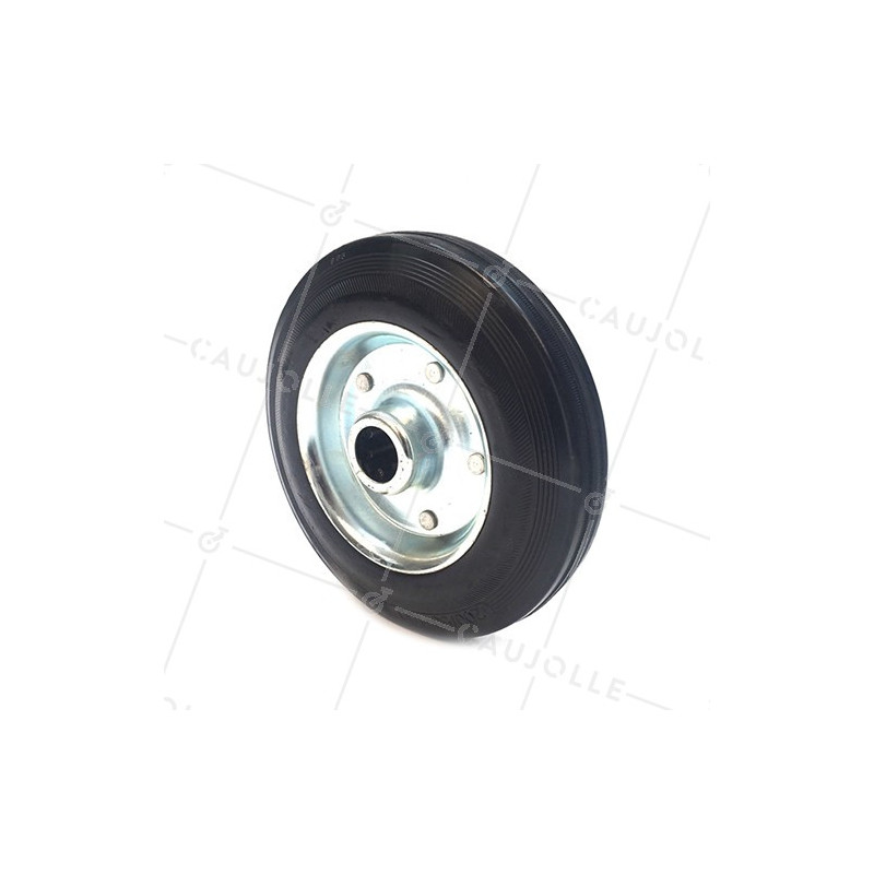 Ruota GOMMA DI MANUTENZIONE DIAMETRO 250MM ASSE 25 MM S2000TS