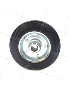 Ruota GOMMA DI MANUTENZIONE DIAMETRO 250MM ASSE 25 MM S2000TS