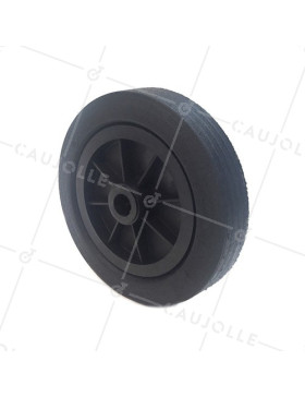 Ruota DI MANUTENZIONE IN GOMMA DIAMETRO 250 MM CARICO 200KG ASSE 25 MM - S2000PS250 • Caujolle
