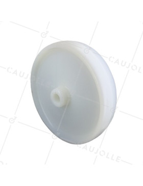 Ruota NYLON DIAMETRO 250 MM CARICO 1500 KG ASSE 25 MM LISCIO • Caujolle