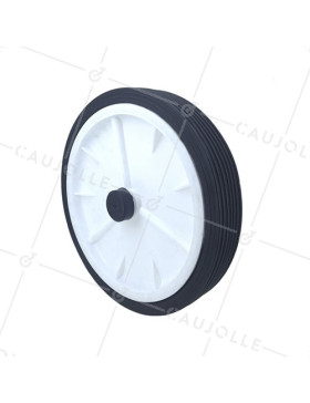 Ruota DI TORENTINO DIAMETRO 250 MM CARICO 25KG ASSE 12 MM • Caujolle