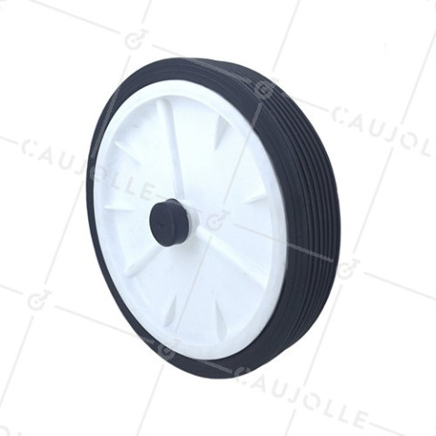 Ruota DI TORENTINO DIAMETRO 250 MM CARICO 25KG ASSE 12 MM • Caujolle