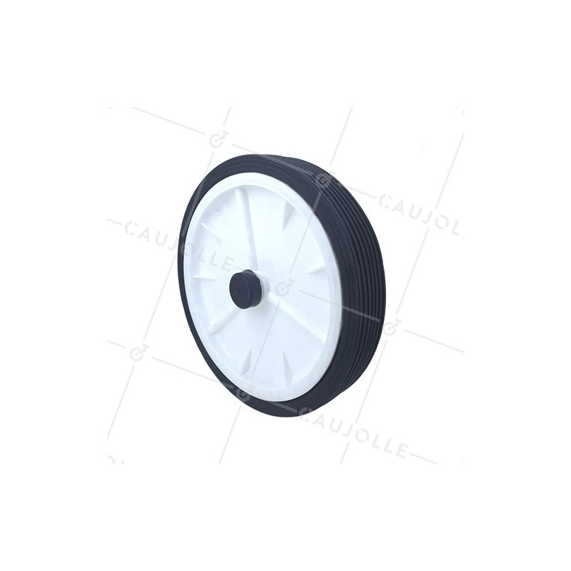 Ruota DI TORE A MANO DIAMETRO 250 MM ASSE 12 MM