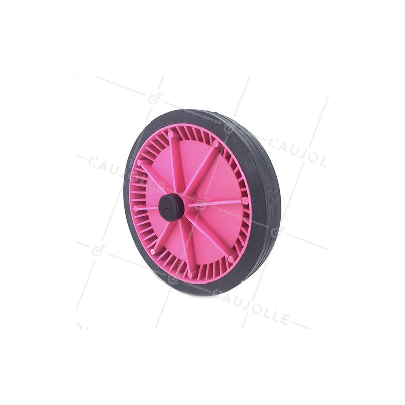 Ruota DI TRANSAT ROSA DIAMETRO 250 MM ASSE 20 MM