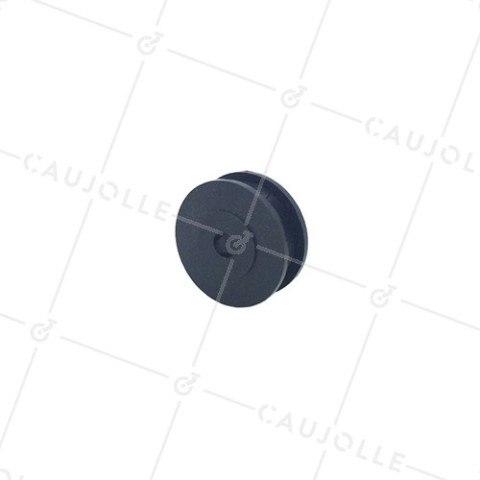 PULLE' IN PLASTICA DIAMETRO 30 MM CARICO 40KG ASSE 6 MM PER CAVO DI 6 MM • Caujolle