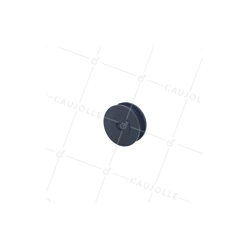 PULLE' IN PLASTICA DIAMETRO 30 MM CARICO 40KG ASSE 6 MM PER CAVO DI 6 MM