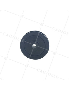 PULLEY SINGOLA DIAMETRO 60 MM ASSE 8 MM