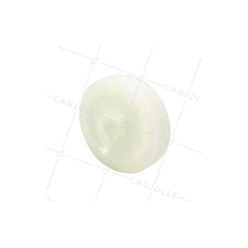 PULLEY SOLA DIAMETRO 100 MM ASSE 12 MM