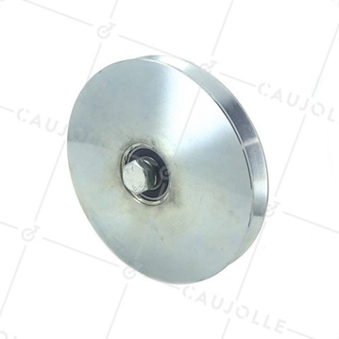 RUOTA DI PORTA STRETTA DIAMETRO 160 MM PER RAIL TRIANGOLARE UNIVERSALE CARICO 550 KG ASSE 14 MM - GAGV160E • Caujolle