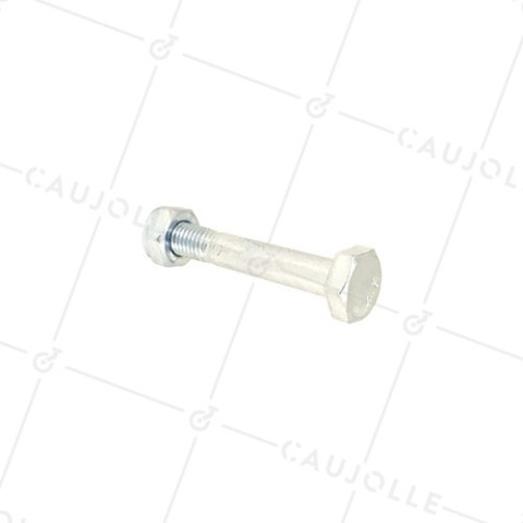 BULLONE DIAMETRO 10MM LUNGHEZZA 60MM • Caujolle
