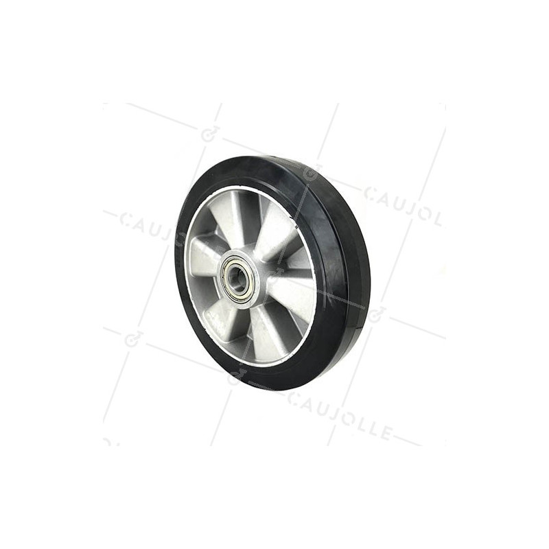 Ruota INDUSTRIALE AD ASSORBIMENTO DEGLI URTI DIAMETRO 250 MM ASSE 25 MM S2014