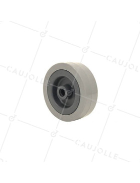 Ruota DI MANUTENZIONE PVC DIAMETRO 65MM CARICO 40KG ASSE 8 MM - S2300E65 • Caujolle