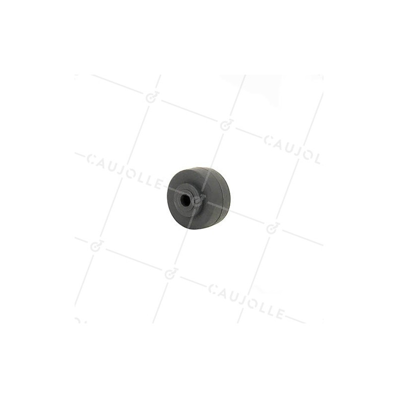 Ruota IN POLIPROPILENE DIAMETRO 30 MM ASSE 6 MM S2400