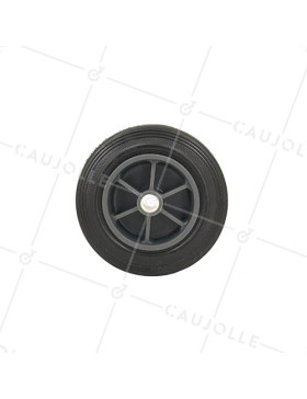 Ruota DI MANUTENZIONE DIAMETRO 100MM ASSE 11 MM S2300