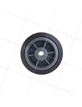 Ruota DI MANUTENZIONE RINFORZATO DIAMETRO 100MM ASSE 13 MM S2300