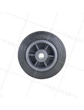 Ruota DI MANUTENZIONE RINFORZATO DIAMETRO 125MM ASSE 13 MM S2300