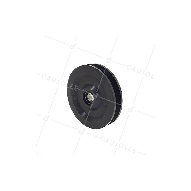 PULLEY SINGOLA PER ATTREZZO DA PESO DIAMETRO 100 MM ASSE 10 MM