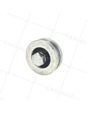 Ruota DI PORTALE A Gola QUADRATA DIAMETRO 50 MM PER RAIL QUADRATO DI 8 MM CARICO 200 KG ASSE 10 MM - GAGC50 • Caujolle