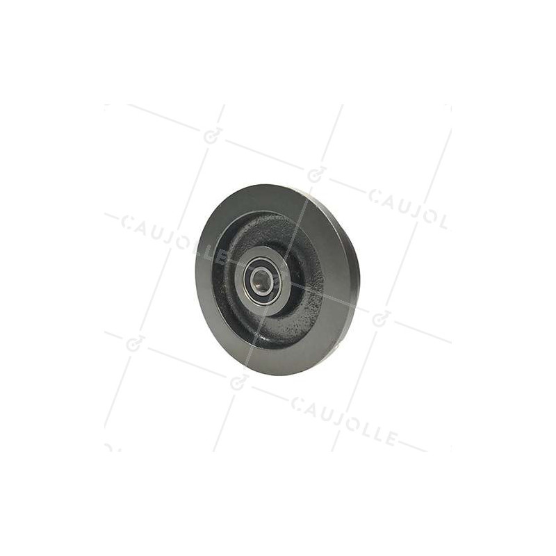 Ruota di carrello in ghisa diametro 150 mm carico 1000 kg