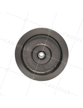 Ruota del carrello in ghisa diametro 200 mm carico 1500 kg