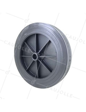 Ruota DI MANUTENZIONE PVC DIAMETRO 250 MM CARICO 100 KG ASSE 20 MM - S2000PVCA20 • Caujolle