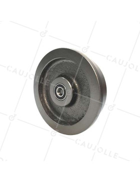 Ruota DI WAGONNET DI MINE IN FONTE DIAMETRO 200 MM PER RAILS DI 46 MM CARICO 1500 KG ASSE 20 MM • Caujolle