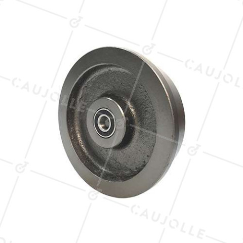 Ruota DI WAGONNET DI MINE IN FONTE DIAMETRO 200 MM PER RAILS DI 46 MM CARICO 1500 KG ASSE 20 MM • Caujolle