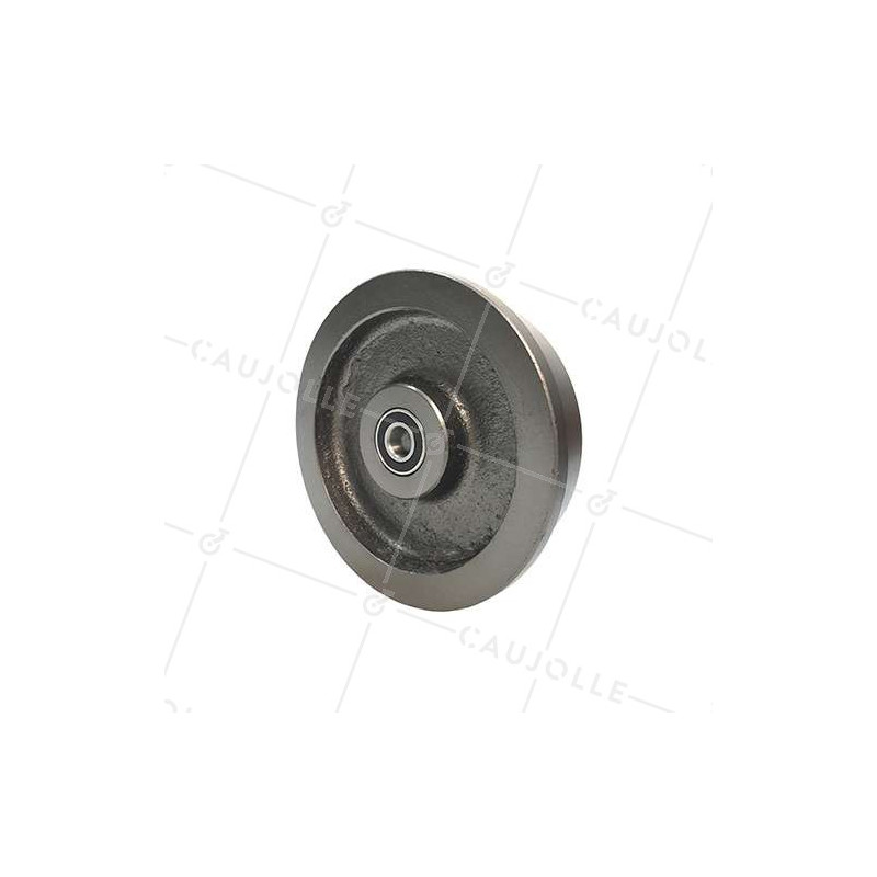Ruota del carrello in ghisa diametro 200 mm carico 1500 kg