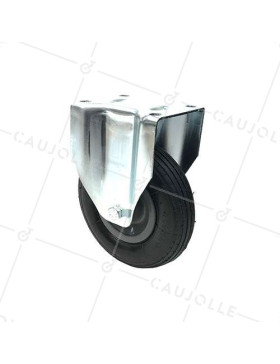 Ruota GONFIABILE FISSO DIAMETRO 200 MM CARICO 30KG • Caujolle