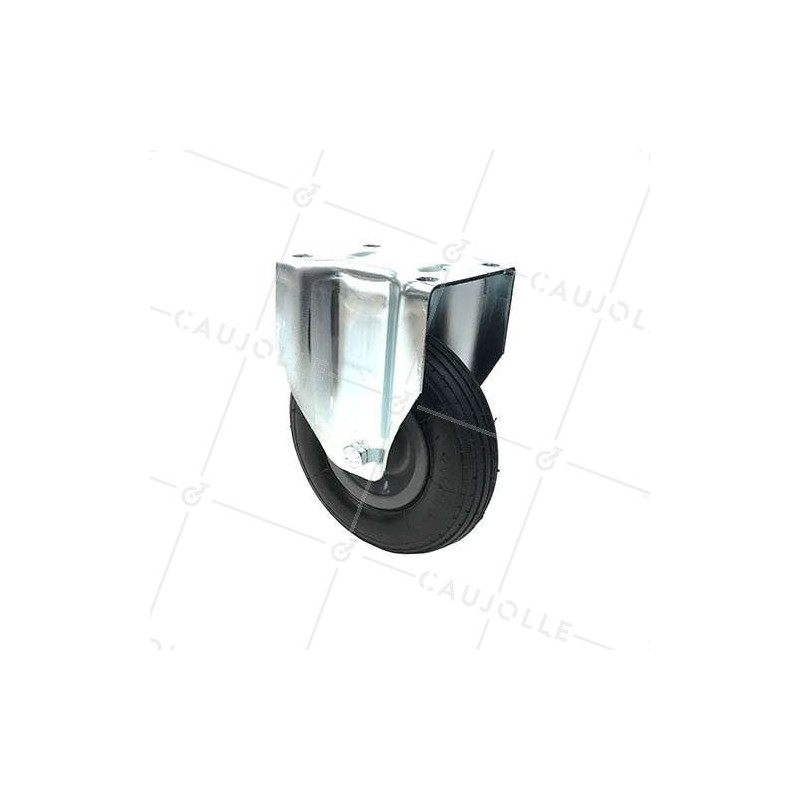 Ruota GONFIABILE FISSO DIAMETRO 200 MM CARICO 30KG