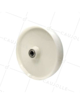Ruota NYLON DIAMETRO 300 MM CARICO 1000 KG ASSE 25 MM E Cuscinetto A SFERE - S2450 300 RB25 • Caujolle