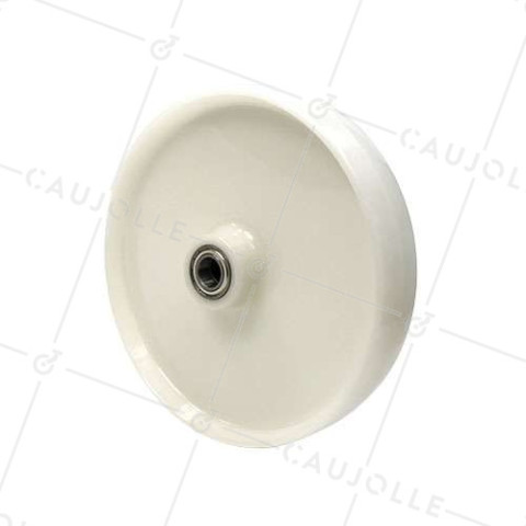 Ruota NYLON DIAMETRO 300 MM CARICO 1000 KG ASSE 25 MM E Cuscinetto A SFERE - S2450 300 RB25 • Caujolle