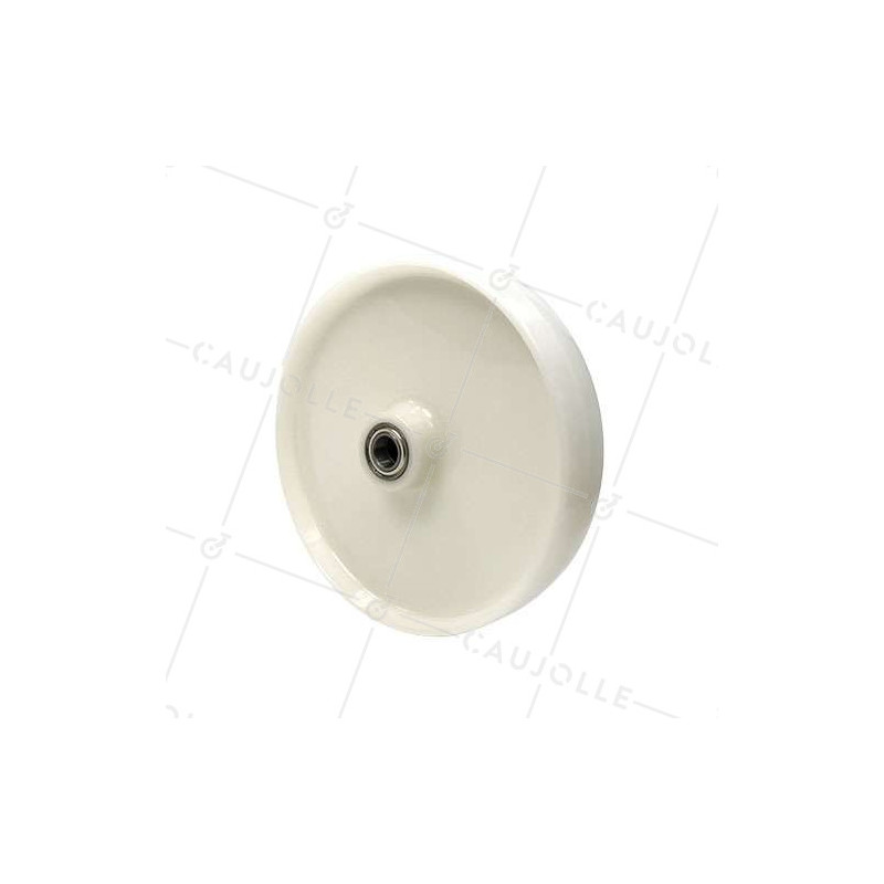 Ruota in nylon diametro 300 mm con cuscinetto a sfere di 25 - S2450