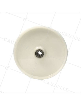Ruota in nylon diametro 300 mm con cuscinetto a sfere di 25 - S2450