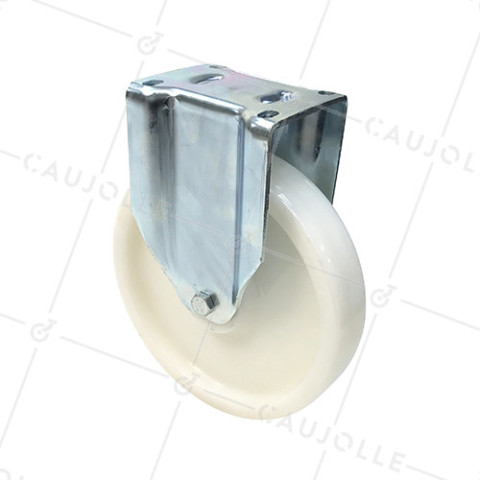 Ruota DI MANUTENZIONE FISSA RINFORZATA IN NYLON DIAMETRO 250 MM CARICO 1000KG - S79N 250 • Caujolle