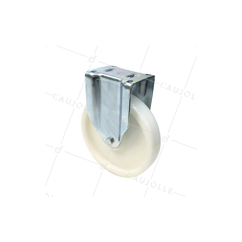 Roulette fixe renforcée en nylon diamètre 250 mm - S79N